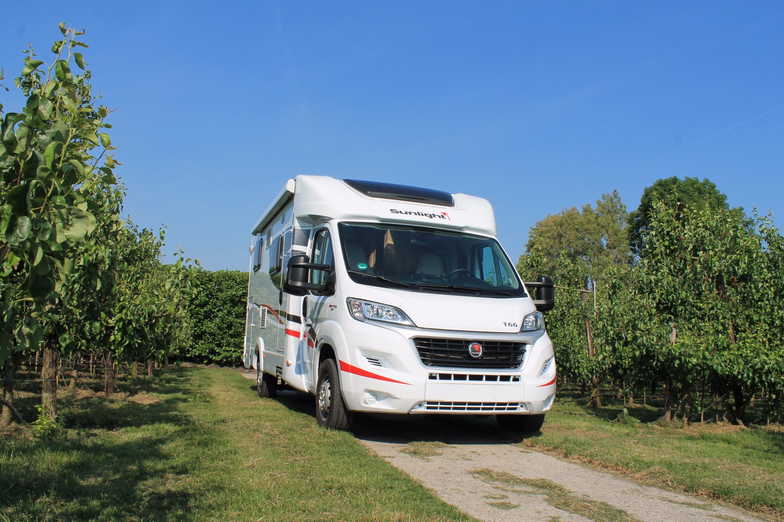 Sunlight T66 in de boomgaard